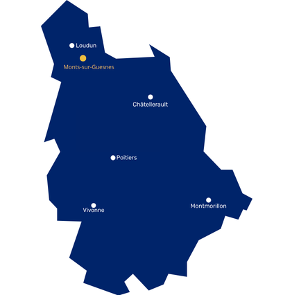 adresse Château de Monts  sur Guesnes