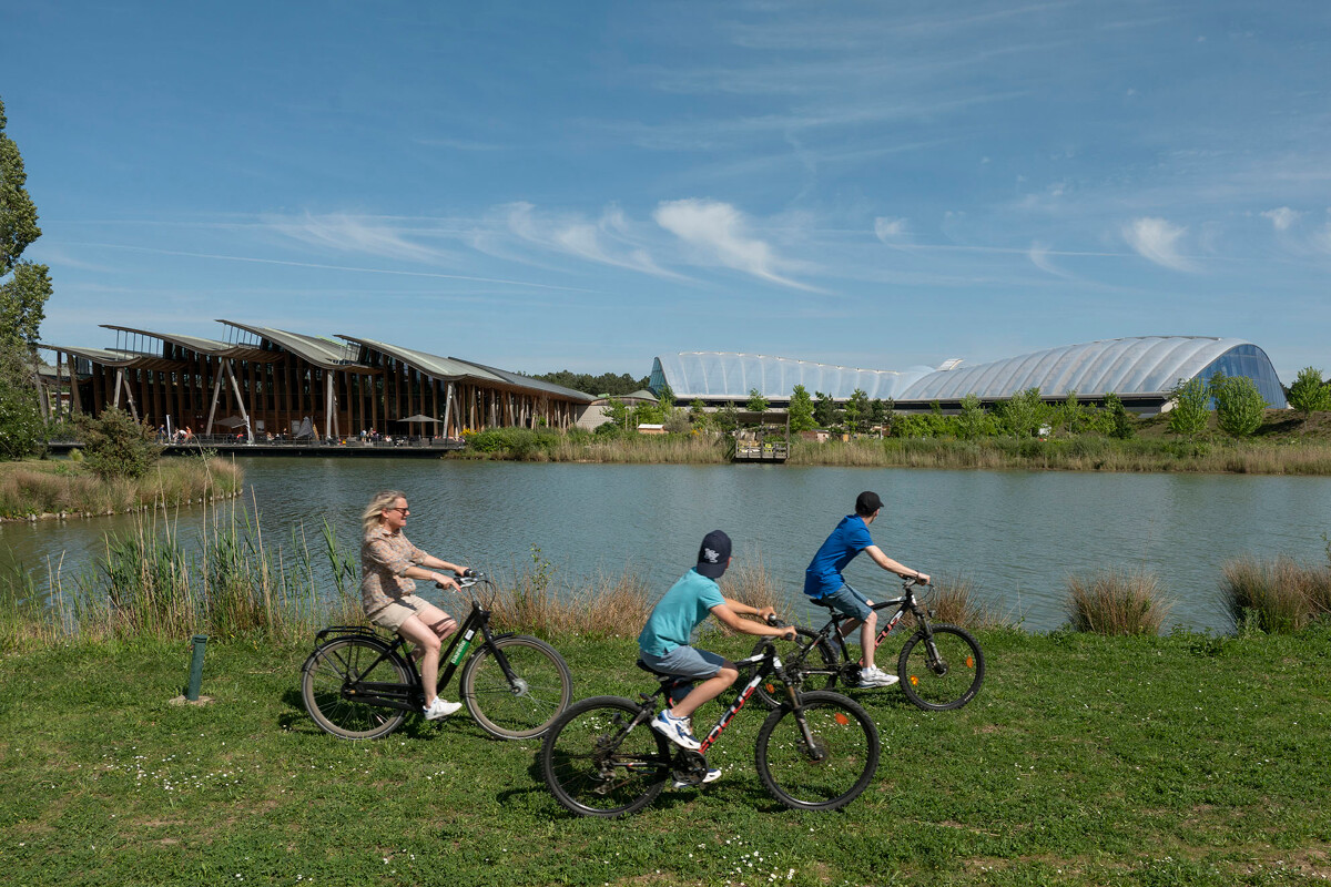 Velo_a_Center_Parcs_Domaine_du_Bois_aux_Daims-Agence_Zebrelle_Jelinek_Thomas-11369-1200px.JPG